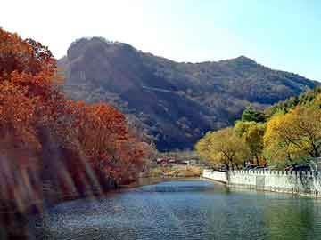 大三巴一肖二码最准，北海道自驾游车祸